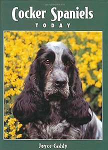 Cocker Spaniels Today - Joyce Caddy