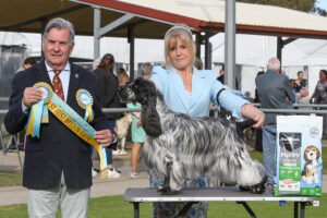 Australian Bred in Show: CH. COBALT MAKE A WISH Mrs L Lukich & Mrs S Bruno