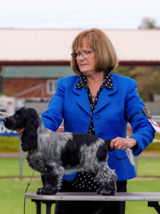 Baby Puppy in Show: ELSWOOD ACROSS THE UNIVERSE Mrs E Zucker