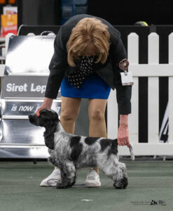 Elswood Critical Acclaim - E Zucker - Baby in Group