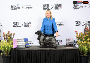 BOB Ch SANDTOYS ROCKETT THE BOAT - Gaye Rose