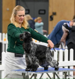 Ashmere HEEZ A GOOD UN - J Burbidge