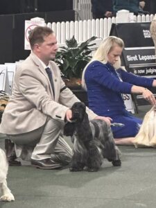 BOB Ch SANDTOYS ROCKETT THE BOAT - Gaye Rose