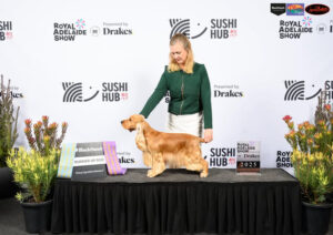 BCC & RUBOB - CH TWNROYAL LIZA WITH A Z