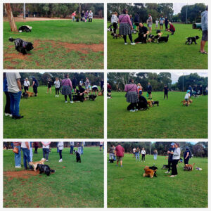 Funday 2026-03 North Adelaide Dog Park