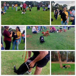 Funday 2026-03 North Adelaide Dog Park