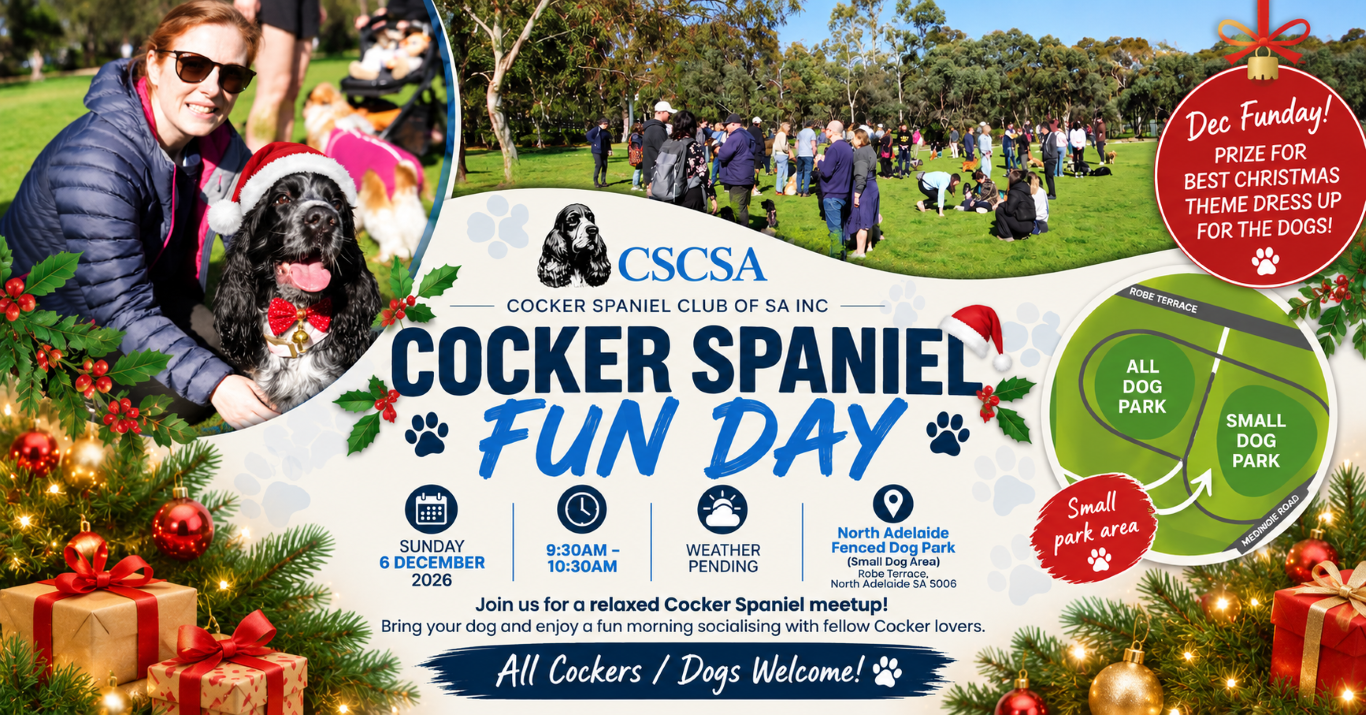 Cocker Spaniel Christmas Fun Day